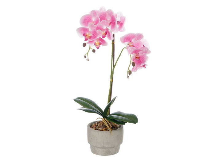IBERGARDEN Maceta Terracota Cemento Rosa 2 Varas