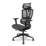 Chaise Pro537 Synchrone/Traslack Maille Noir Base pyramidale noire Accoudoir 3D Appui-tête 2D Roulettes en nylon 50 mm