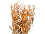 Giftdecor Petit Vase Bola Assorti Coloris Naturel/Ocre en Céramique 10,5x26x10,5 cm (Set de 18)