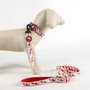 Cerdá - Correa para perros m hello kitty - Laisse pour chien Hello Kitty Taille M Couleur Rouge
