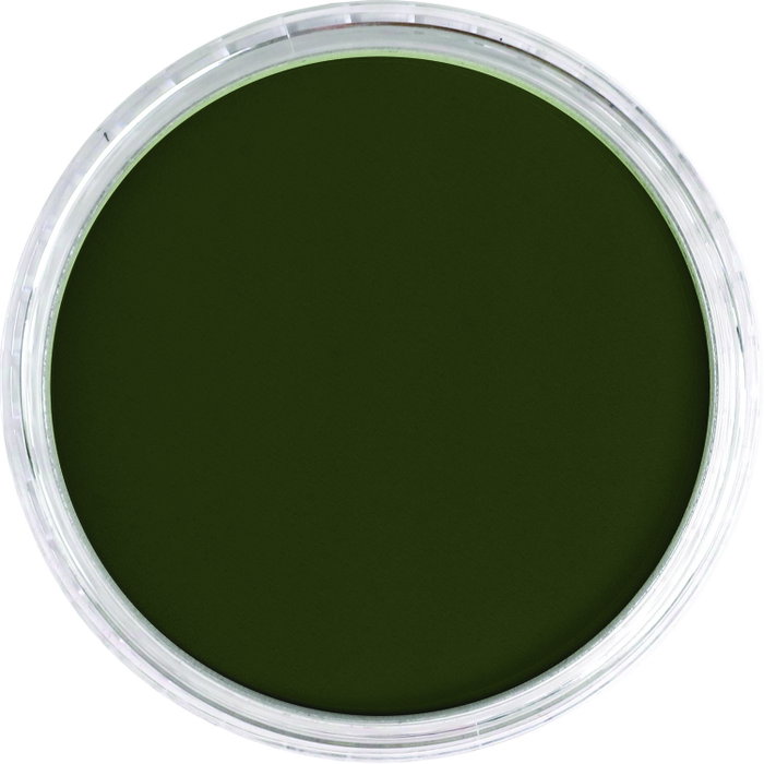 Panpastel 660.3 Oxyde de Chrome Vert Ombre Panpastel 660.3 Oxyde de Chrome Vert Ombre