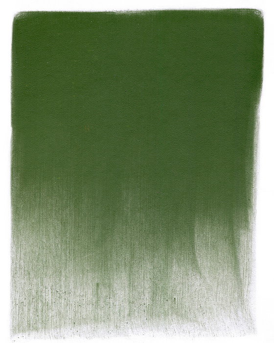 Panpastel 660.3 Oxyde de Chrome Vert Ombre Panpastel 660.3 Oxyde de Chrome Vert Ombre