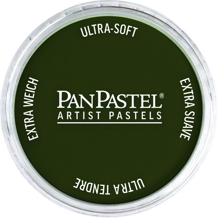 Panpastel 660.3 Oxyde de Chrome Vert Ombre Panpastel 660.3 Oxyde de Chrome Vert Ombre
