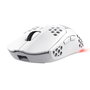 Souris Gaming Trust GXT 929 4800 dpi Blanc