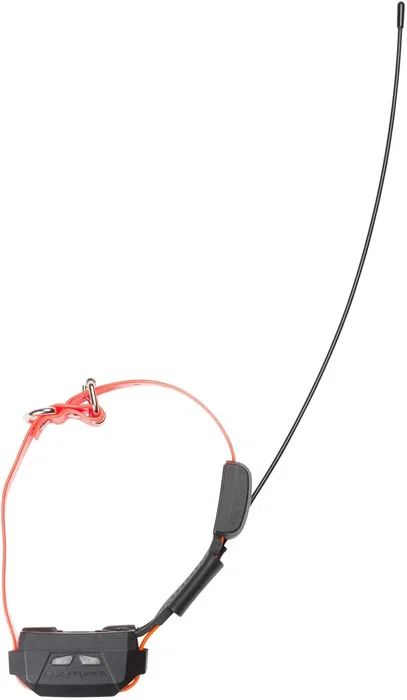Num'Axes CANICOM GPS MINI - Ensemble complet de localisation GPS pour chien avec fonction de dressage et boussole électronique