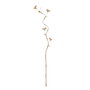 Branche Beige Bambou Fibre naturelle Fleur 27 x 27 x 170 cm