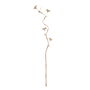 Branche Beige Bambou Fibre naturelle Fleur 27 x 27 x 170 cm