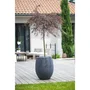 EDA Bac Graphit Ø 50cm - Pot de fleurs rond anthracite, 53 L (Ø 50 x H. 53 cm)