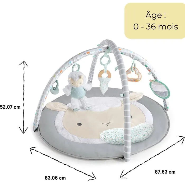 Ingenuity Tapis d'éveil bébé évolutif Petit Mouton avec arche de jeu amovible, 5 jouets sensoriels, peluche mouton, cadeau