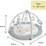 Ingenuity Tapis d'éveil bébé évolutif Petit Mouton avec arche de jeu amovible, 5 jouets sensoriels, peluche mouton, cadeau