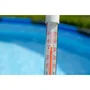 BSI - Aqua Power Double Action - 1,6 kg - Traitement anti-algues et clarifiant puissant pour bassin - Grande capacité