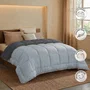 Toison D'Or HUDSON Couette Légère Microfibre 200gr/m2 Gris Argent 220 x 240 cm