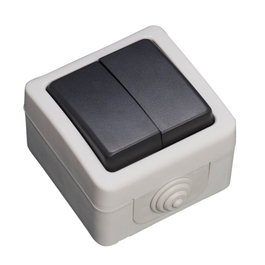 GSC Evolution Double commutateur étanche 10A IP54