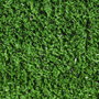 PAPILLON Pelouse artificielle 12 mm - Rouleau 1 x 10 mètres
