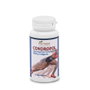 PLANTAPOL CONDROPOL 60 comprimés
