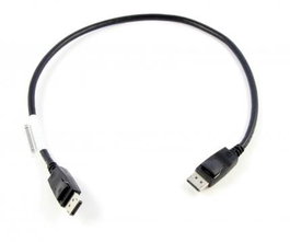 Lenovo Câble DisplayPort vers DisplayPort 0,5 m