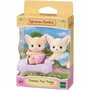 Sylvanian Families Les jumeaux Fennec avec locomotive - Modèle 5697