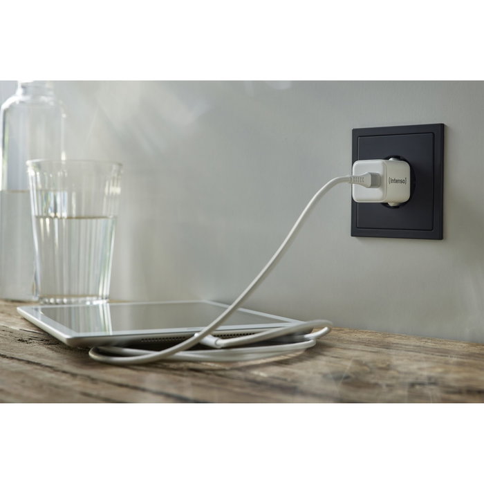 Intenso Cargador pared gan w30c usb tipo c blanc Intenso Cargador pared gan w30c usb tipo c blanc
