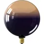 Calex INCEPTION KALMAR - Ampoule LED E27 3.5W 80lm 1800K Variateur Design Dégradé Noir et Or