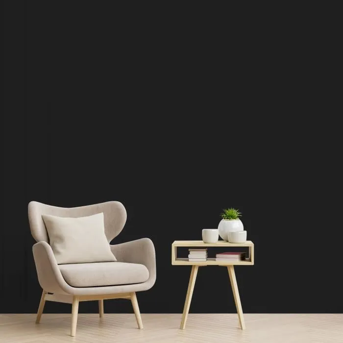 Ripolin Peinture intérieure Satin Noir Houvert 2,5L - Pour murs, boiseries, radiateurs - Cuisine, salon, chambre - Fabriqué en France