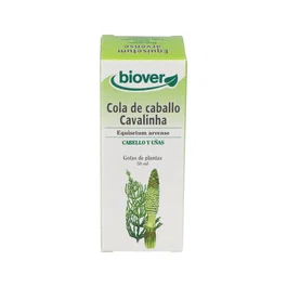 BIOVER Extrait d'Equisetum arvense (prêle des champs) 50ml