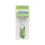 BIOVER Extrait d'Equisetum Arvense (Prêle des champs) 50 ml