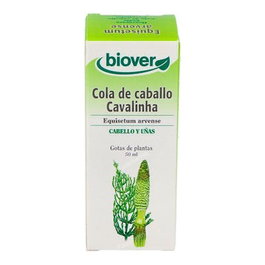 BIOVER Extrait d'Equisetum Arvense (Prêle des champs) 50 ml