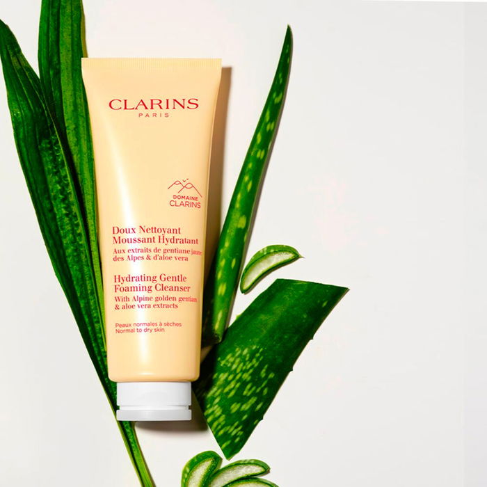 Clarins Mousse Nettoyante Douce et Hydratante 125 ml pour Peaux Normales à Sèches