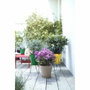 Elho Pot de fleurs rond Loft Urban 25 Jaune ocre