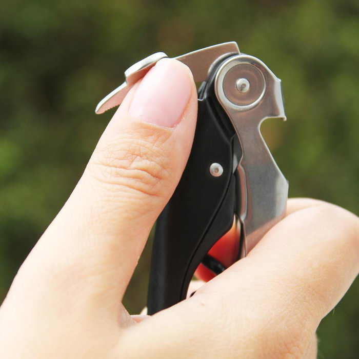 Sacacorchos Acero Hightech Deluxe Koala 15x9x2,3 cm (12 Unidades) Sacacorchos Acero Hightech Deluxe Koala 15x9x2,3 cm (12 Unidades)