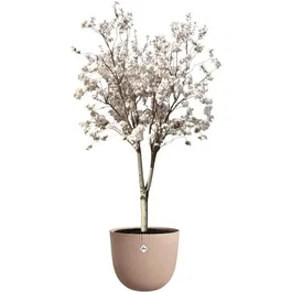 ELHO Pot de fleurs Sereh Rond 47 en plastique 100% recyclé, Marron, Diamètre 47 x Hauteur 40 cm, Résistant au gel et inaltérable pour intérieur ou extérieur