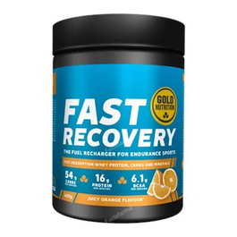 GOLD NUTRITION FAST RECOVERY Orange 600g