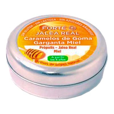 Forté Pharma Forté Jalea Real Miel 45 unités Forté Pharma Forté Jalea Real Miel 45 unités
