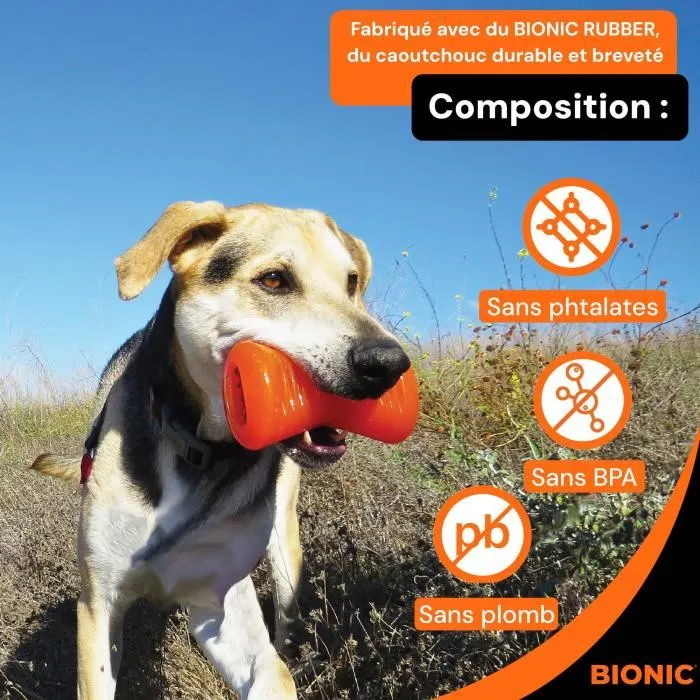 Bionic - Jouet pour chien Os caoutchouc ultra résistant, sans plomb ni BPA - Taille Medium 12 cm, compartiments friandises, couleur orange Bionic - Jouet pour chien Os caoutchouc ultra résistant, sans plomb ni BPA - Taille Medium 12 cm, compartiments friandises, couleur orange