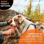 Bionic - Jouet pour chien Os caoutchouc ultra résistant, sans plomb ni BPA - Taille Medium 12 cm, compartiments friandises, couleur orange