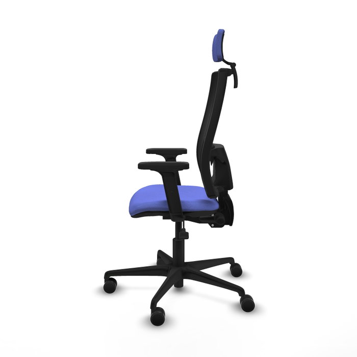 Piqueras Y Crespo Bormate, Chaise de bureau avec mécanisme asynchrone, Bleu clair/Noir