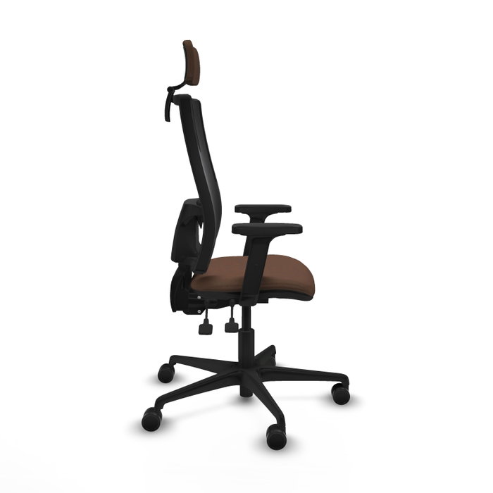 Piqueras Y Crespo Bormate Chaise de bureau ergonomique, Marron foncé et Noir Piqueras Y Crespo Bormate Chaise de bureau ergonomique, Marron foncé et Noir