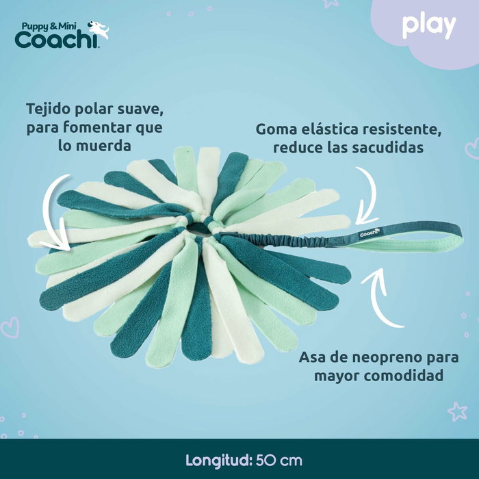 Coachi PUPPY & MINI TUGGI SPIDER Vert