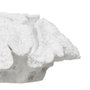 BigBuy Home Figurine Décorative Corail Blanc