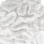 BigBuy Home Figurine Décorative Corail Blanc