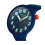 Montre Homme Swatch SB01N700