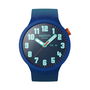 Montre Homme Swatch SB01N700