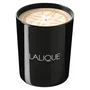 Lalique Bougie parfumée Neroli Casablanca Maroc 190 g
