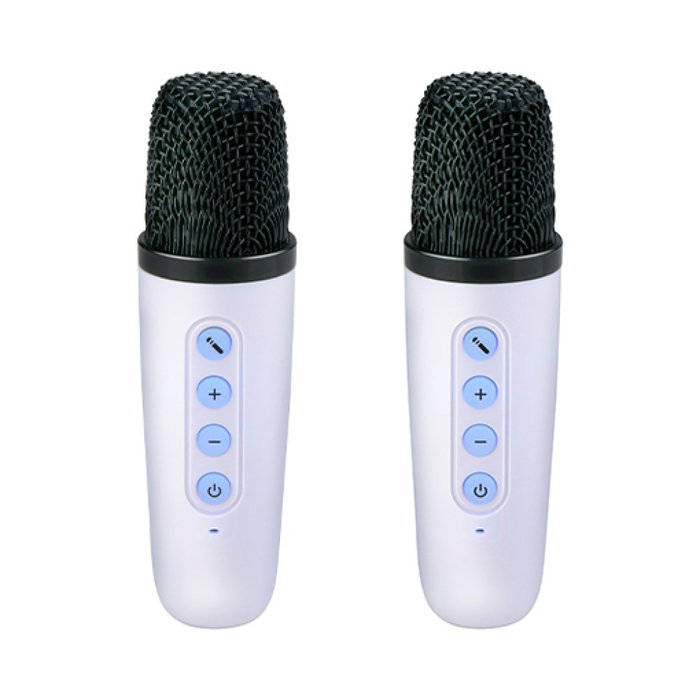Basics Ensemble Karaoké Bluetooth 5.4 Portable 10W avec 2 Micros Sans Fil et Lumière RGB, Enceinte Intégrée, Radio FM, USB, Autonomie 4h, Couleurs Variées