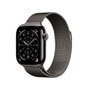 Apple Montre intelligente MF8U4QL/A Titane 42 mm