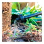 Blue Bird-Altadex Goutteurs autocompensés standard 4 l/h, 10 uds