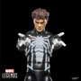 Hasbro Marvel Legends Series Figurine Spider-Man Spider-Venom 15 cm