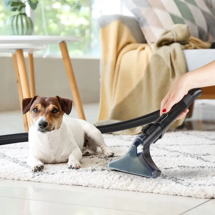 Domo DO250SC Nettoyeur Vapeur Détacheur, 600 W, 15000 Pa, Réservoir 1.3 L, Bleu/Noir, avec Brosse et Accessoires