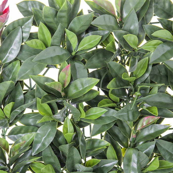 BigBuy Garden Clôture Laurel 50 x 50 x 2 cm