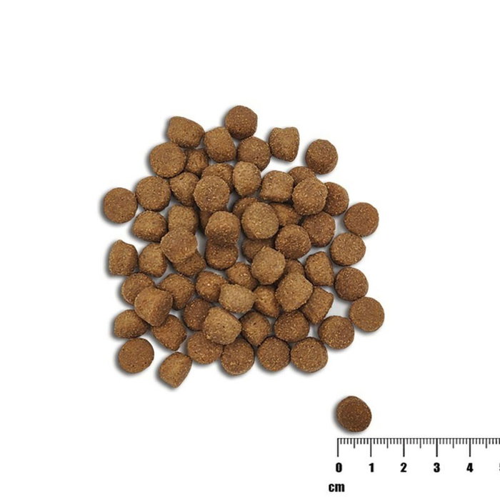 VETEXPERT Nourriture Saumon 10 kg